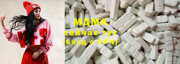 индика Володарск