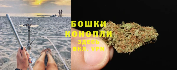 mdpv Волоколамск