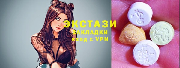 индика Володарск