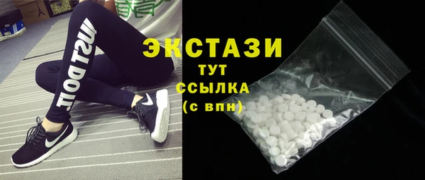 индика Володарск