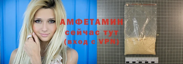 индика Володарск