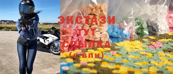индика Володарск