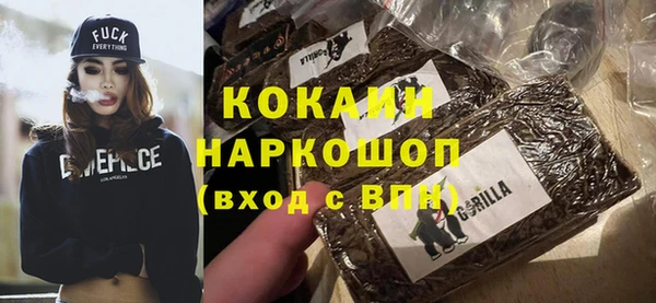 индика Володарск
