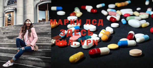 индика Володарск