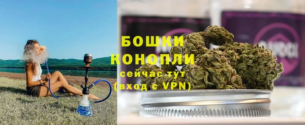 индика Володарск