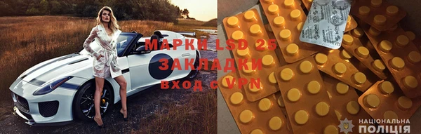 индика Володарск