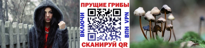 MEGA рабочий сайт  Мариинск  Псилоцибиновые грибы GOLDEN TEACHER 